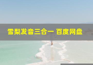 雪梨发音三合一 百度网盘